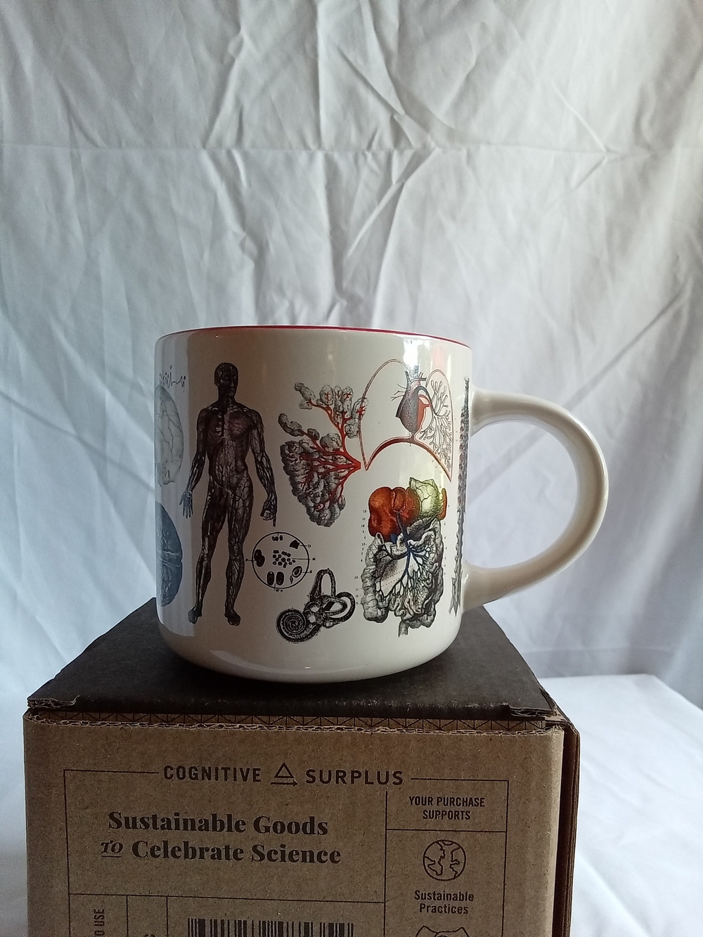 Cognitive Surplus White Science "Heartbeat" Anatomy Art Mug